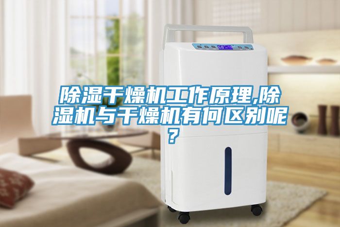 除湿干燥机工作原理,MR.好色破解版与干燥机有何区别呢？