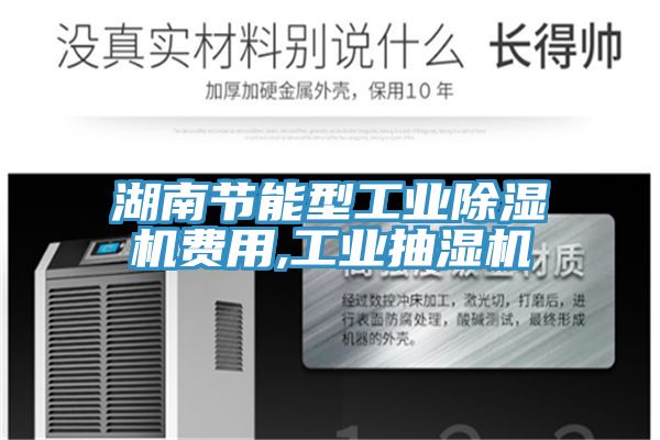 湖南节能型工业MR.好色破解版费用,工业抽湿机