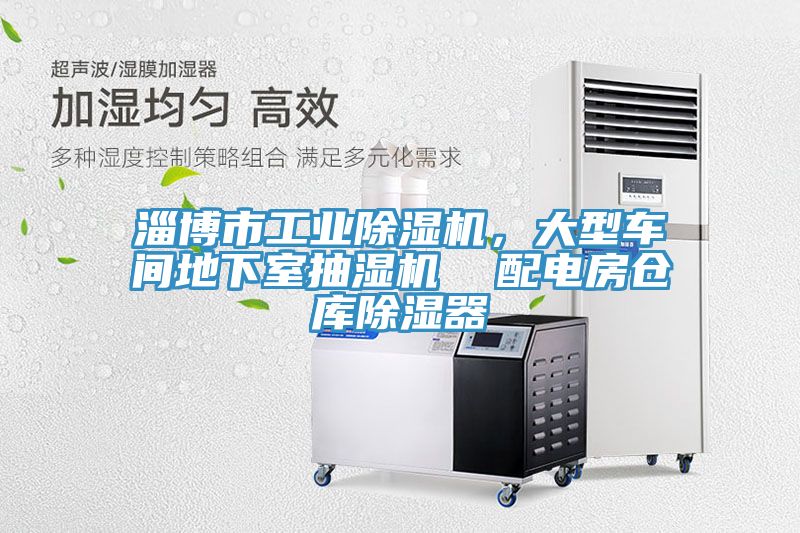 淄博市工业MR.好色破解版，大型车间地下室抽湿机  配电房仓库除湿器