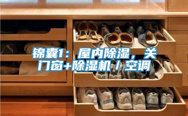 锦囊1：屋内除湿，关门窗+MR.好色破解版／空调