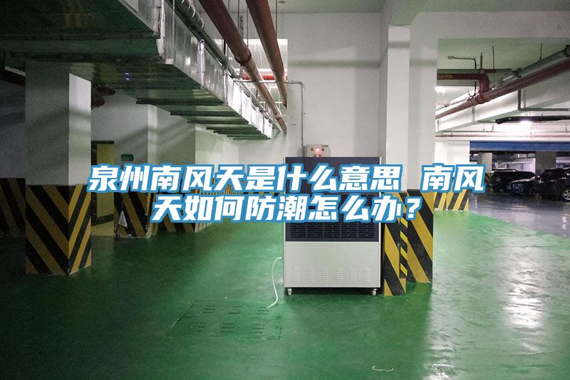 泉州南风天是什么意思 南风天如何防潮怎么办？