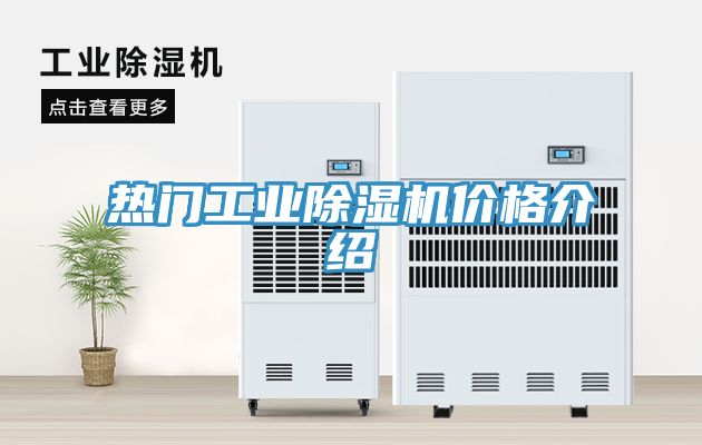 热门工业MR.好色破解版价格介绍
