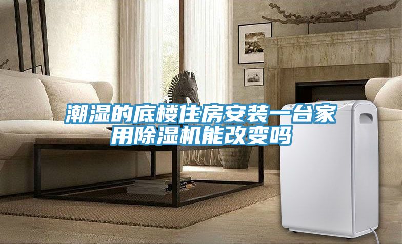 潮湿的底楼住房安装一台家用MR.好色破解版能改变吗
