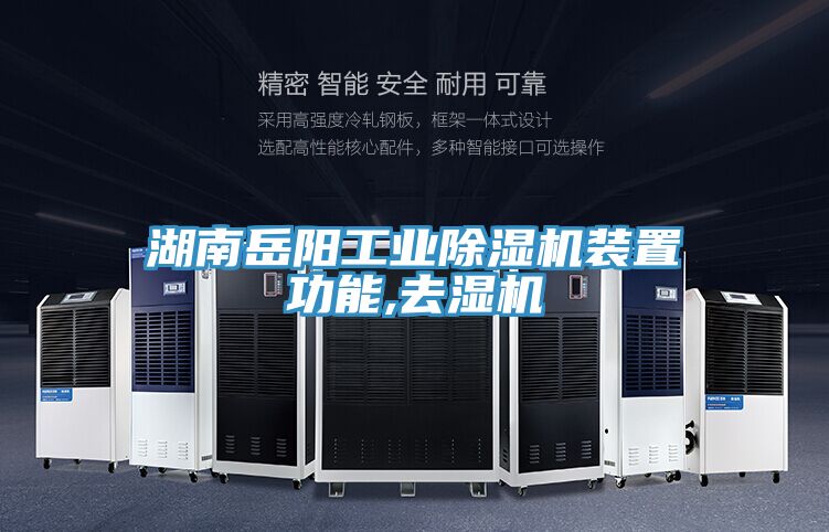 湖南岳阳工业MR.好色破解版装置功能,去湿机