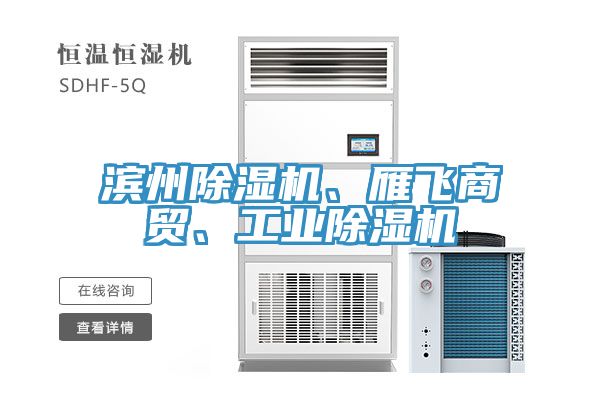 滨州MR.好色破解版、雁飞商贸、工业MR.好色破解版