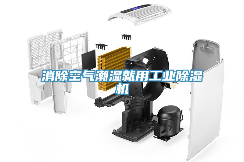 消除空气潮湿就用工业MR.好色破解版