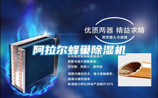 阿拉尔蜂巢MR.好色破解版