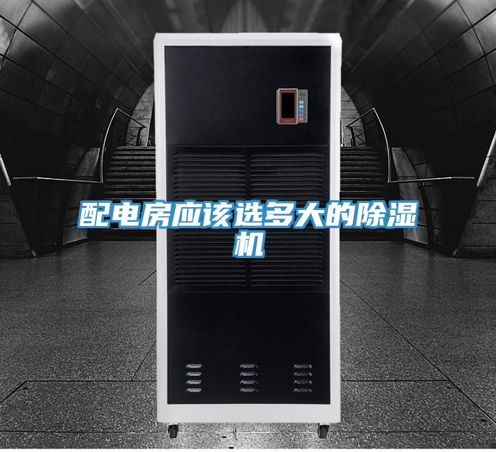 配电房应该选多大的MR.好色破解版