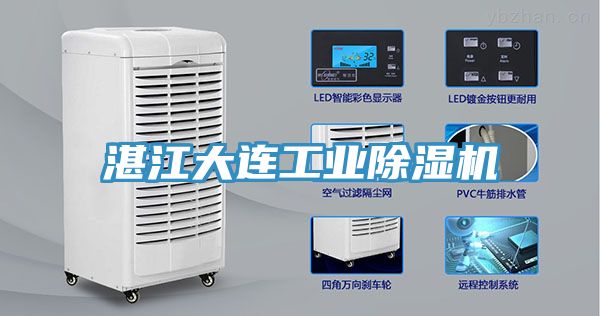 湛江大连工业MR.好色破解版