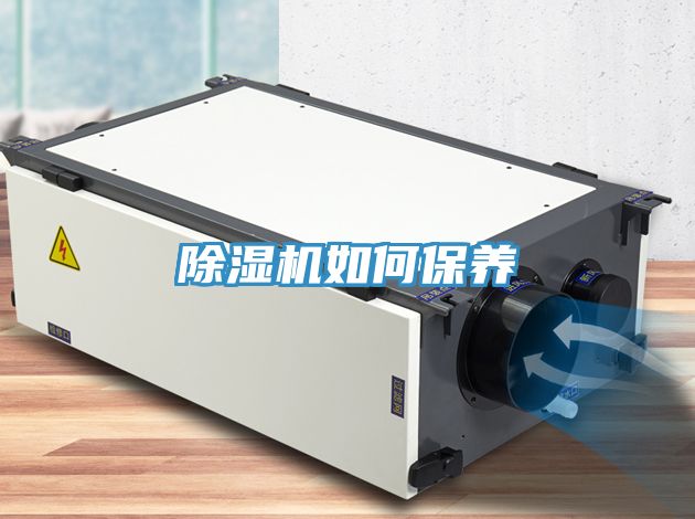 MR.好色破解版如何保养