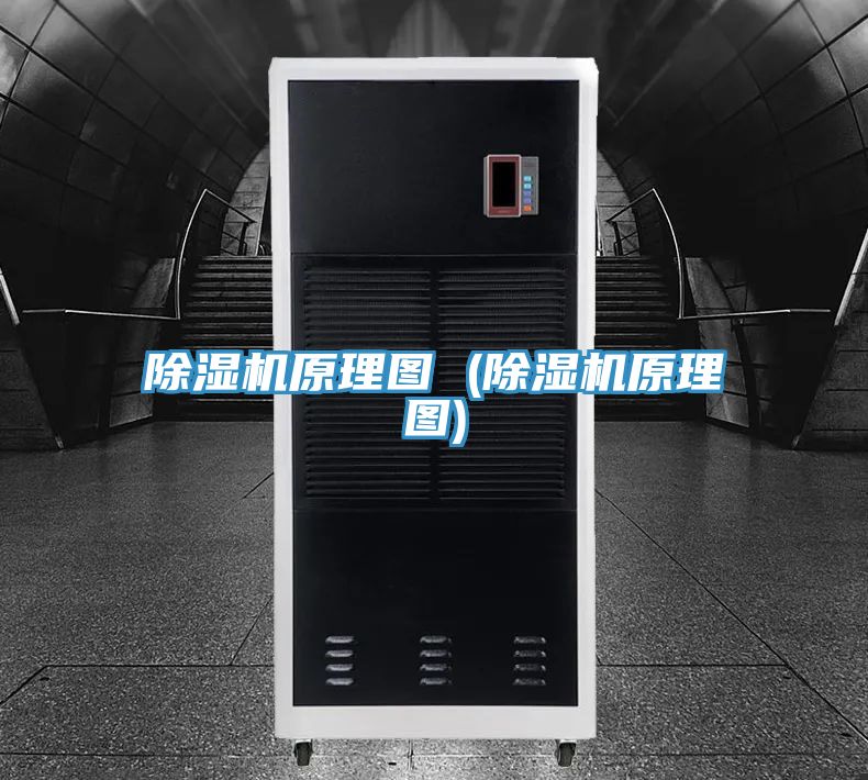 MR.好色破解版原理图 (MR.好色破解版原理图)