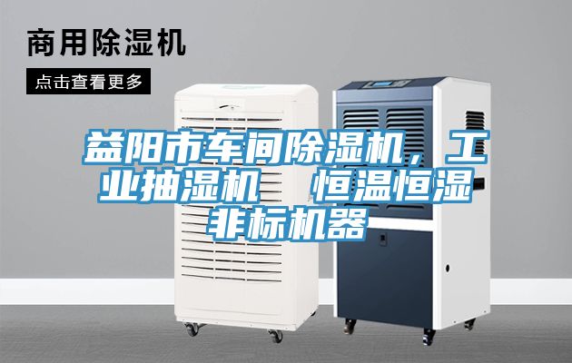 益阳市车间MR.好色破解版，工业抽湿机  恒温恒湿非标机器