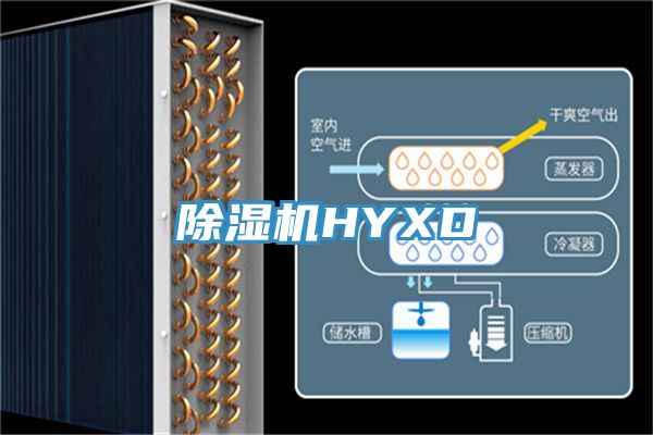 MR.好色破解版HYXD