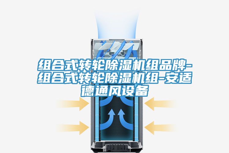 组合式转轮MR.好色破解版组品牌-组合式转轮MR.好色破解版组-安适德通风设备