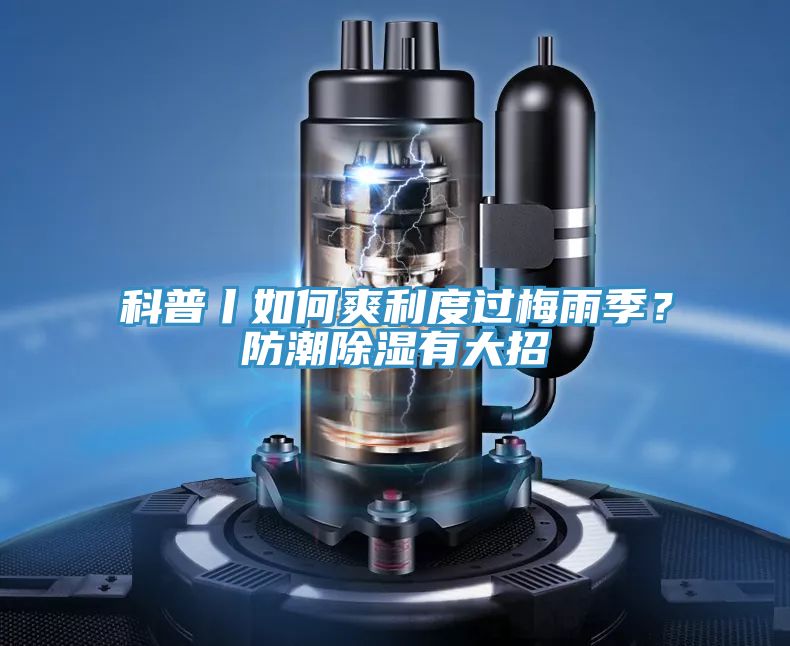 科普丨如何爽利度过梅雨季？防潮除湿有大招