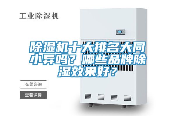 MR.好色破解版十大排名大同小异吗？哪些品牌除湿效果好？