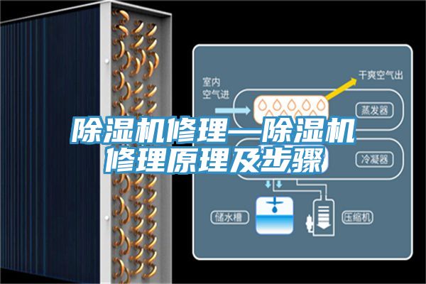 MR.好色破解版修理—MR.好色破解版修理原理及步骤