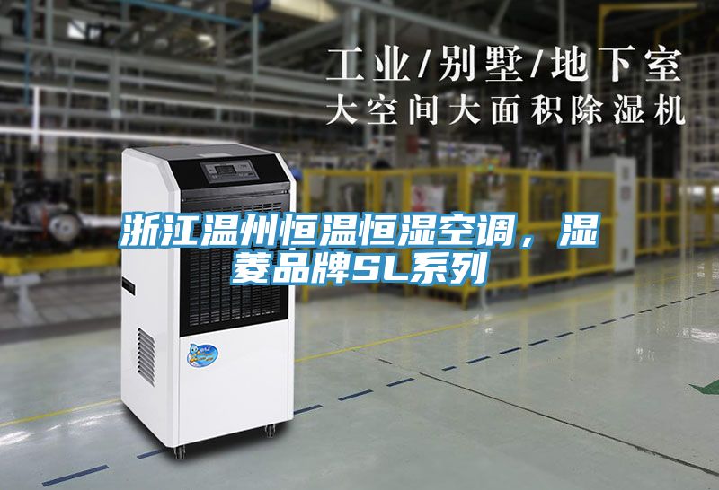 浙江温州恒温恒湿空调，湿菱品牌SL系列