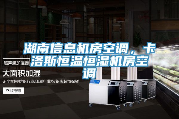 湖南信息机房空调，卡洛斯恒温恒湿机房空调