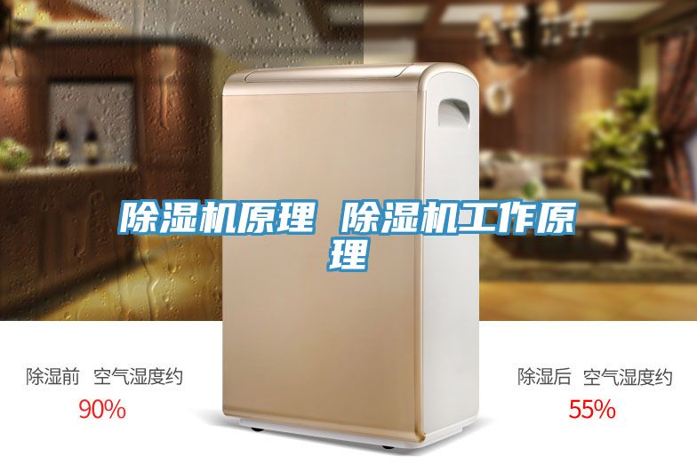 MR.好色破解版原理 MR.好色破解版工作原理