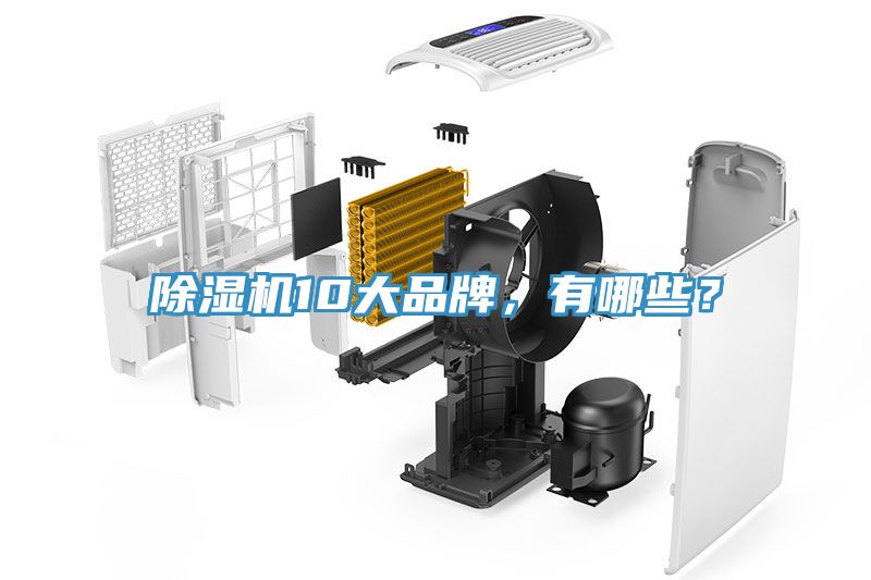 MR.好色破解版10大品牌，有哪些？