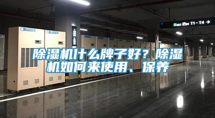 MR.好色破解版什么牌子好？MR.好色破解版如何来使用、保养