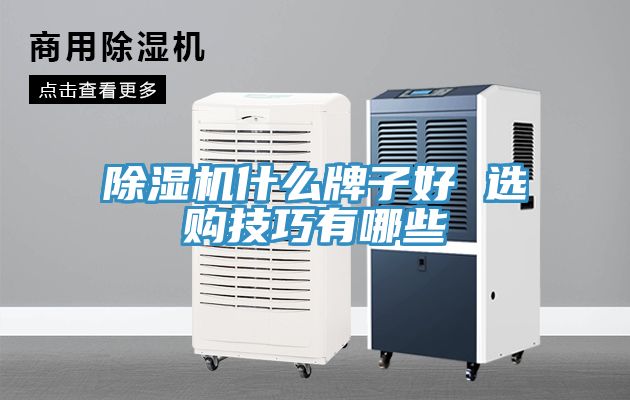 MR.好色破解版什么牌子好 选购技巧有哪些