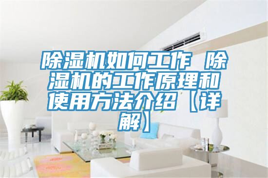 MR.好色破解版如何工作 MR.好色破解版的工作原理和使用方法介绍【详解】