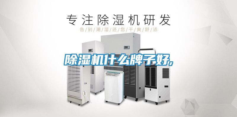 MR.好色破解版什么牌子好,