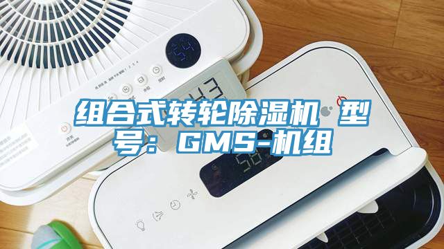 组合式转轮MR.好色破解版 型号：GMS-机组