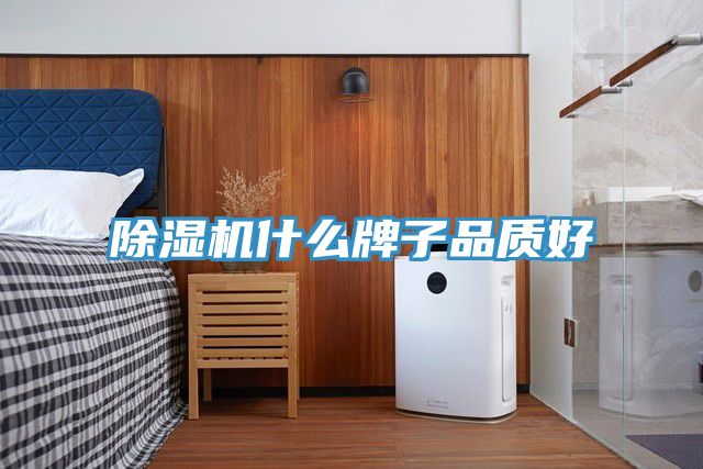 MR.好色破解版什么牌子品质好