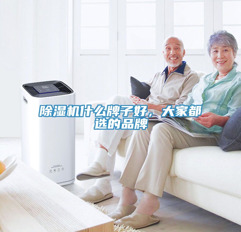 MR.好色破解版什么牌子好，大家都选的品牌