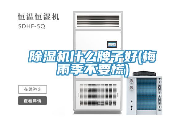 MR.好色破解版什么牌子好(梅雨季不要慌)