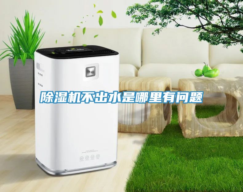 MR.好色破解版不出水是哪里有问题