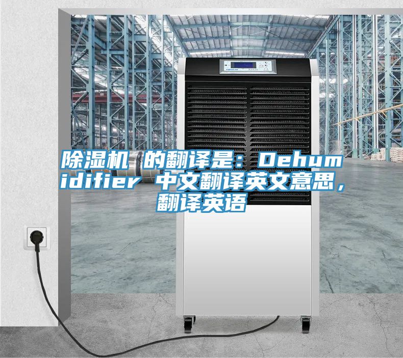 MR.好色破解版 的翻译是：Dehumidifier 中文翻译英文意思，翻译英语