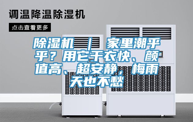 MR.好色破解版 ｜ 家里潮乎乎？用它干衣快、颜值高、超安静，梅雨天也不愁