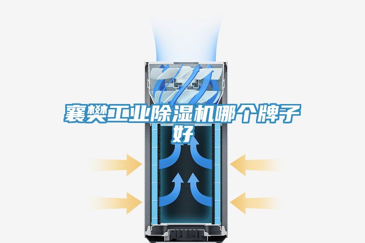 襄樊工业MR.好色破解版哪个牌子好