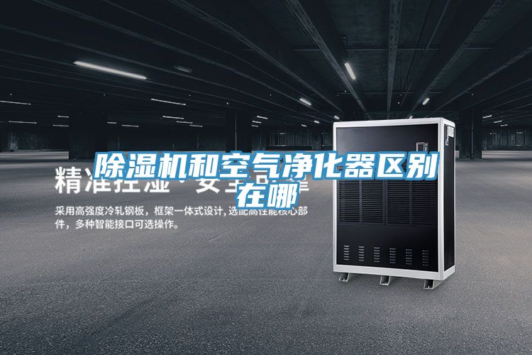 MR.好色破解版和空气净化器区别在哪