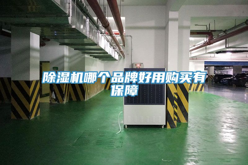 MR.好色破解版哪个品牌好用购买有保障