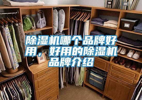 MR.好色破解版哪个品牌好用，好用的MR.好色破解版品牌介绍