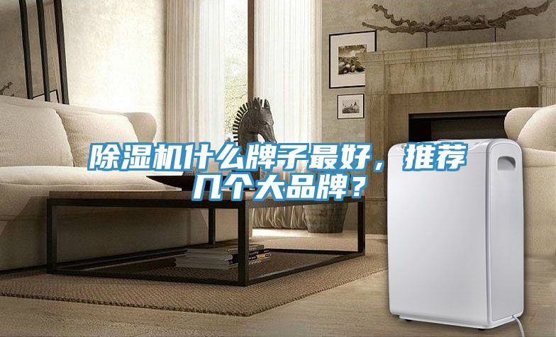 MR.好色破解版什么牌子最好，推荐几个大品牌？