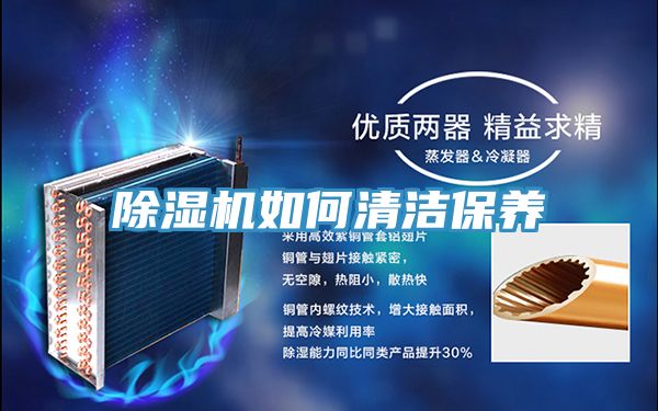 MR.好色破解版如何清洁保养