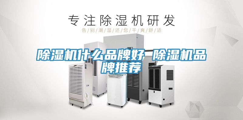 MR.好色破解版什么品牌好 MR.好色破解版品牌推荐