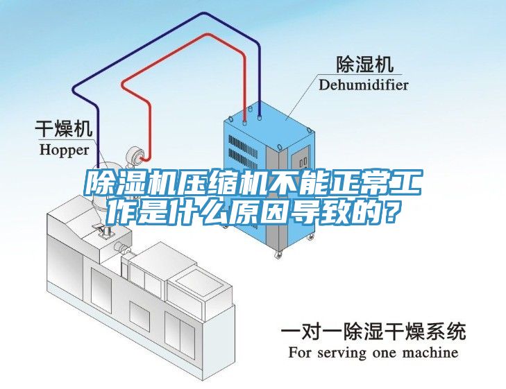 MR.好色破解版压缩机不能正常工作是什么原因导致的？