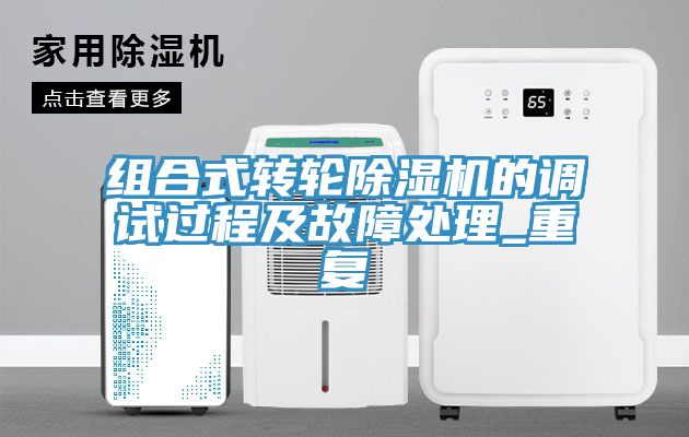 组合式转轮MR.好色破解版的调试过程及故障处理_重复