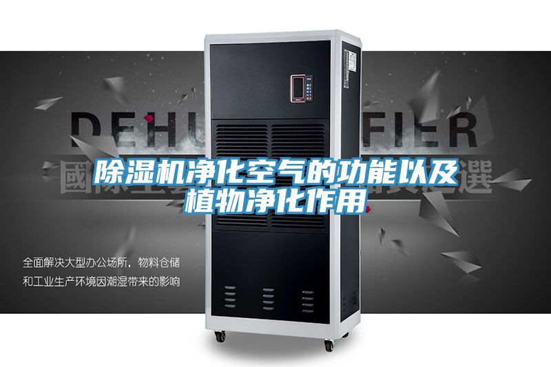 MR.好色破解版净化空气的功能以及植物净化作用