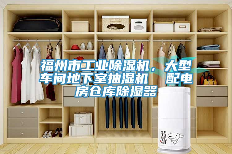 福州市工业MR.好色破解版，大型车间地下室抽湿机  配电房仓库除湿器