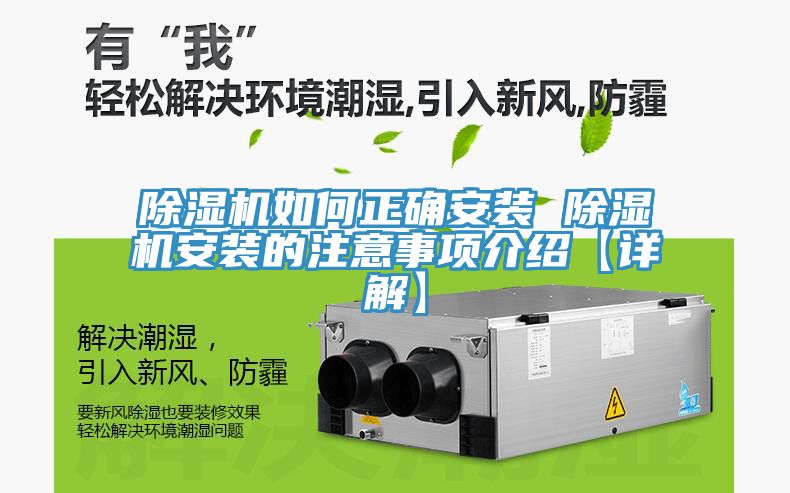 MR.好色破解版如何正确安装 MR.好色破解版安装的注意事项介绍【详解】