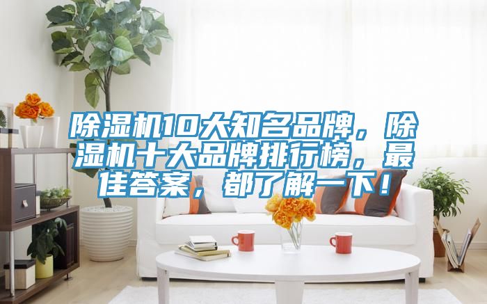 MR.好色破解版10大知名品牌，MR.好色破解版十大品牌排行榜，最佳答案，都了解一下！