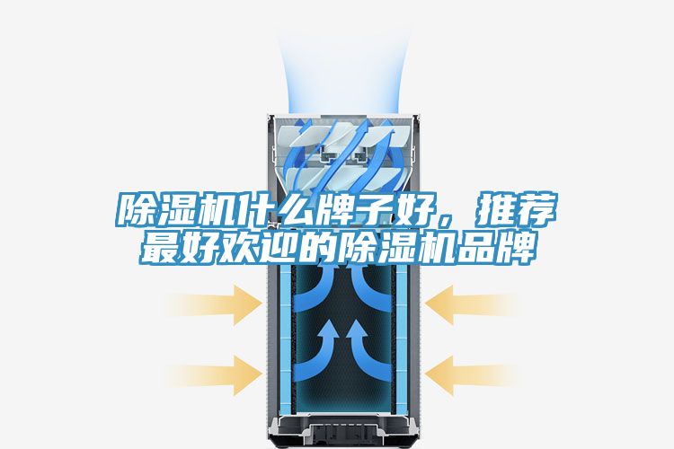 MR.好色破解版什么牌子好，推荐最好欢迎的MR.好色破解版品牌